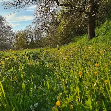 Auszeit An Der Aisch * Bad Windsheim